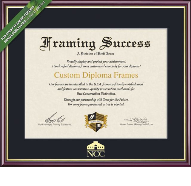 Framing Success Academic 7 x 9 Diploma with Single mat  - ONLINE ONLY
