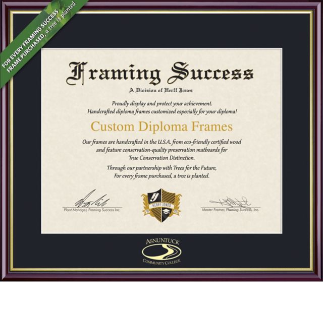 Framing Success Academic 7 x 9 Diploma with Single mat  - ONLINE ONLY