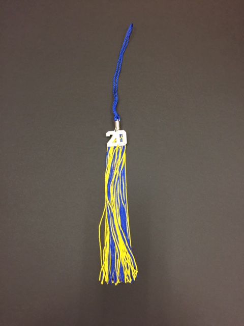 SLCC TASSEL