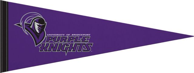 University of Bridgeport 9x24 Pennant