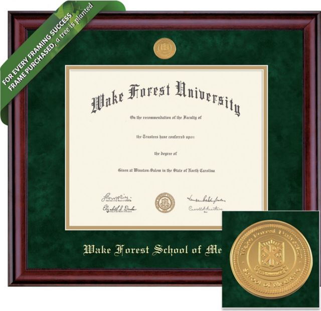 Wake Forest University 11'' x 14'' Classic Diploma Frame