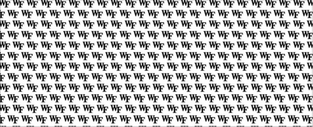 Wake Forest Demon Deacons 10" Wrapping Paper