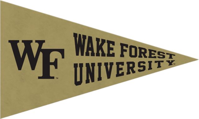 Wake Forest Demon Deacons Mini Magnet Pennant