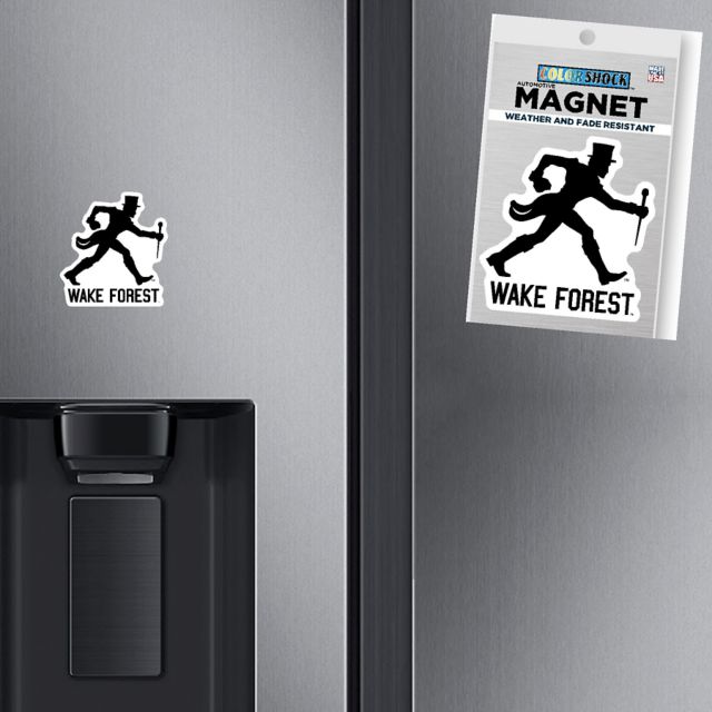 Wake Forest Demon Deacons Mini Magnet