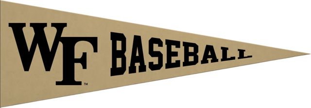 Wake Forest University 5x15 Baseball Pennant