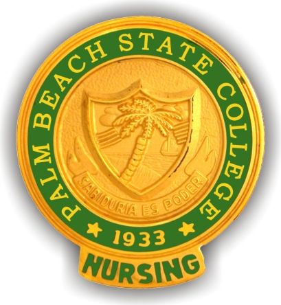 PBSC RN GRAD PIN