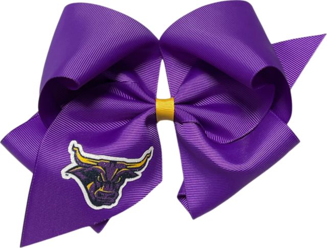 Minnesota State University Mankato Mavericks Child Cheer Bow