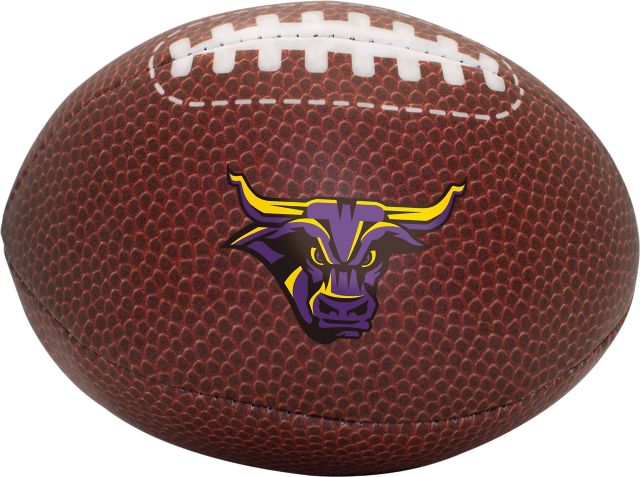 Minnesota State University Mankato Micro Soft Football