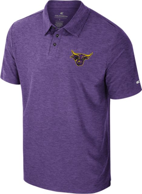 Minnesota State University Mankato Polo