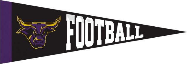 Minnesota State University Mankato 5x15 Football Mavericks Pennant