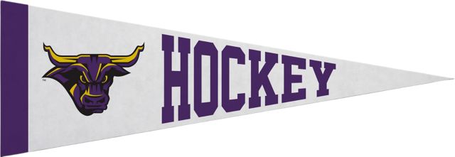 Minnesota State University Mankato 5x15 Pennant