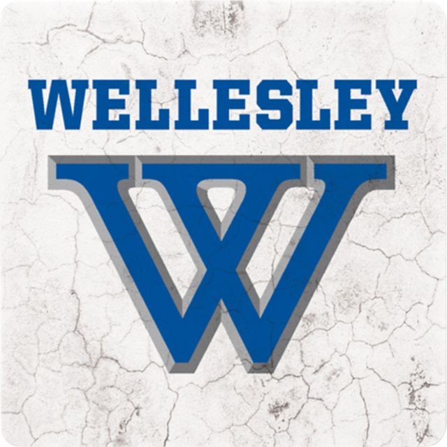 Wellesley College Blue 4x4 Coaster