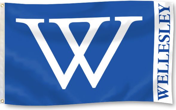 Wellesley College 3' x 5' Durawave Flag