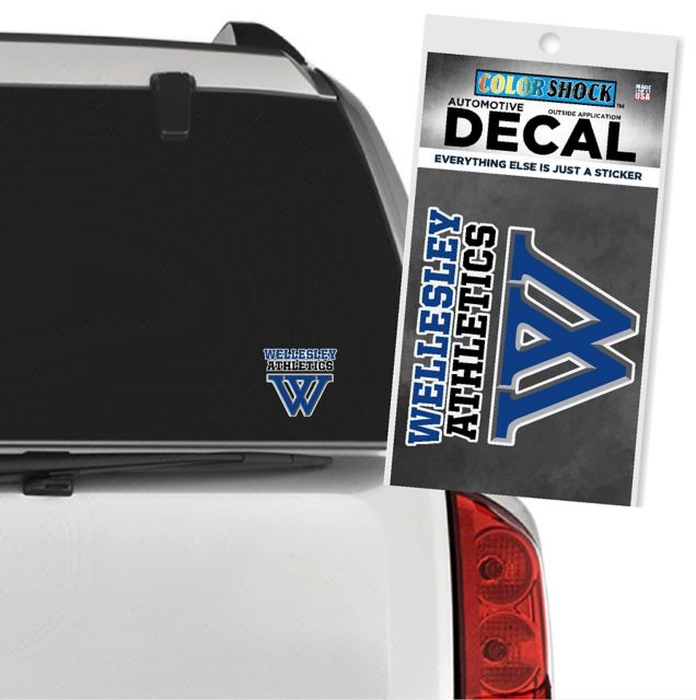 Wellesley College Primary Decal