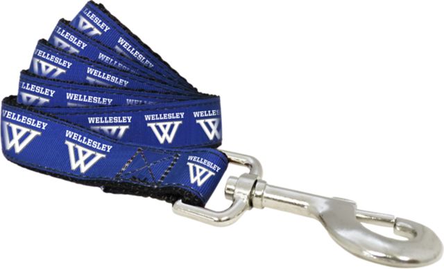 Wellesley College 1"x 6' Dog Leash