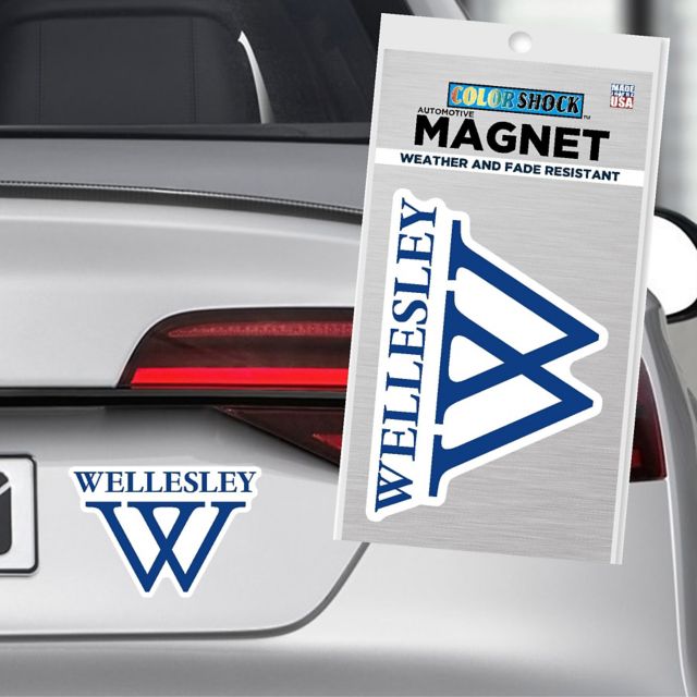 Wellesley College 6'' Magnet