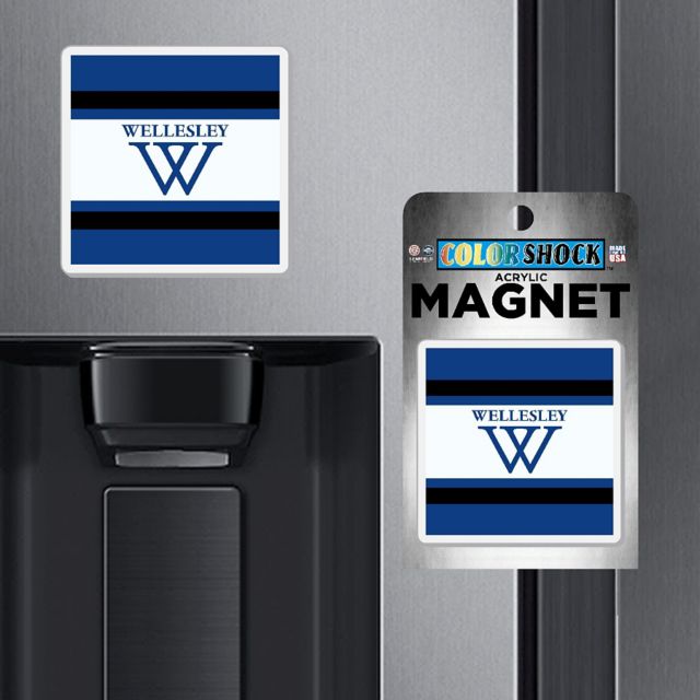 Wellesley College 7 in. Acrylic Magnet
