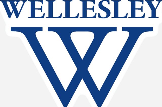 Wellesley College Mini Magnet