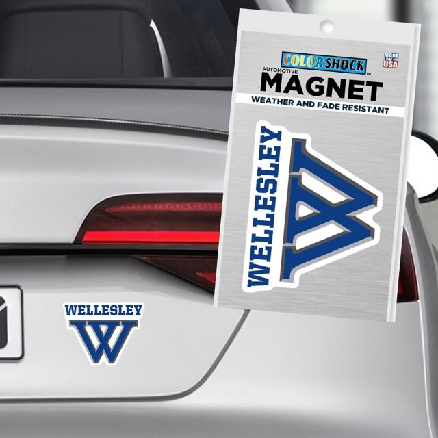 Wellesley College 4'' x 4'' Magnet