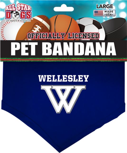 Wellesley College Pet Bandana