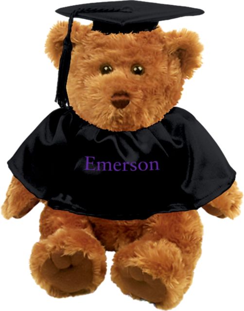 Emerson College Graduation Bear