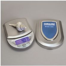 ELECTRNIC PCKT SCALE 100X.01 G