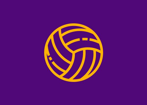 Volleyball