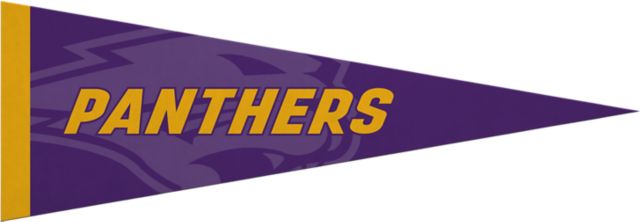University of Northern Iowa 5x15 Pennant