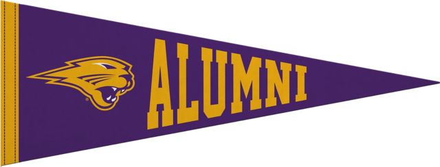 University of Northern Iowa 9x24 Pennant