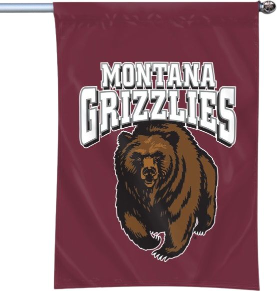 University of Montana Banner