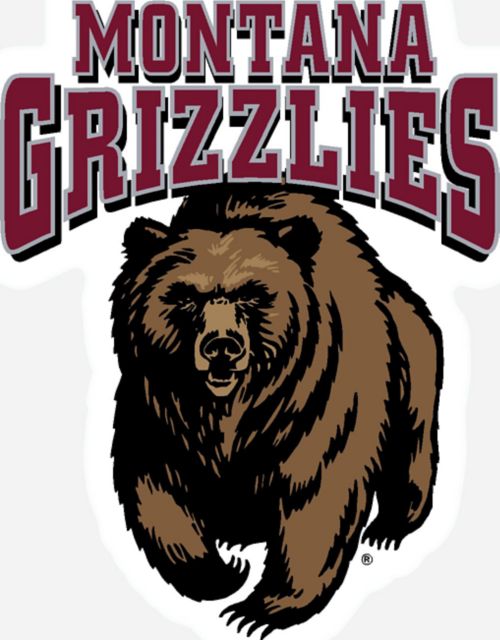 University of Montana Grizzlies Mini Magnet