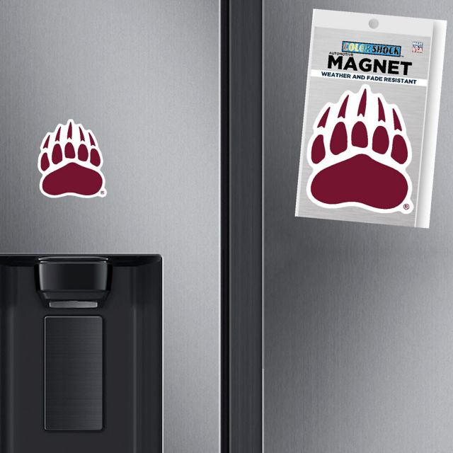 University of Montana Mini Magnet