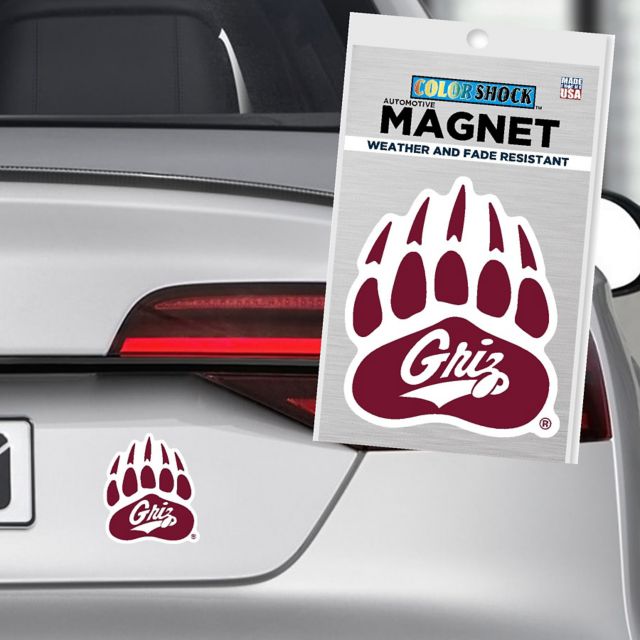University of Montana 4x4 Magnet