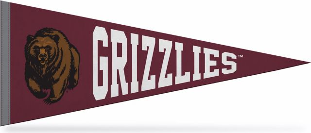 University of Montana 12"X30" Full Color Pennant