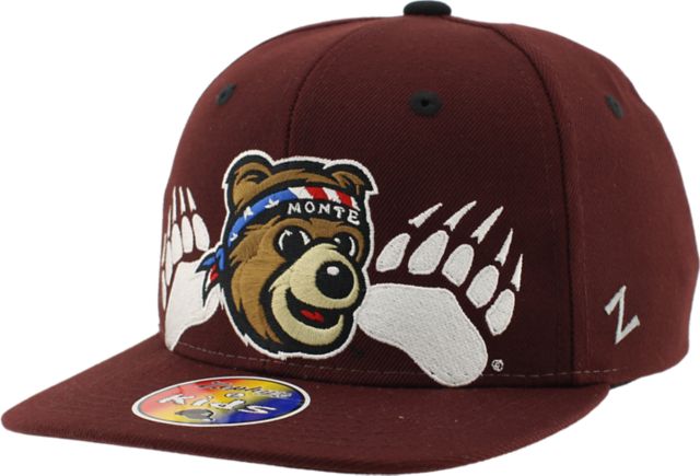 University of Montana Grizzlies Youth Snapback Cap