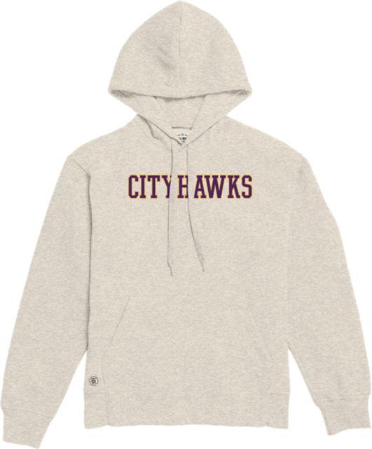 Community College of Denver CityHawk Hoodie