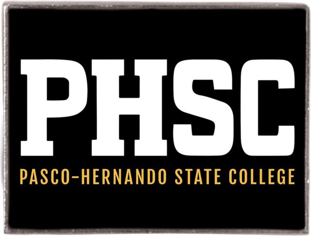 Foxboro Rectangular Lapel Pin