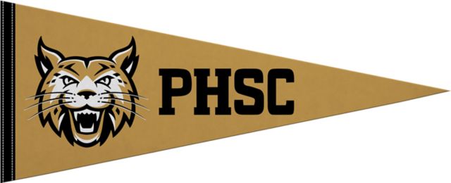 Pasco-Hernando State College 12"X30" Full Color Pennant