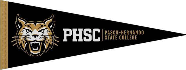 Pasco-Hernando State College 9"X24" Full Color Pennant
