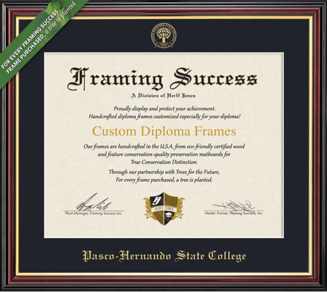 Pasco-Hernando State College 8'' x 10'' Value Price Academic Diploma Frame
