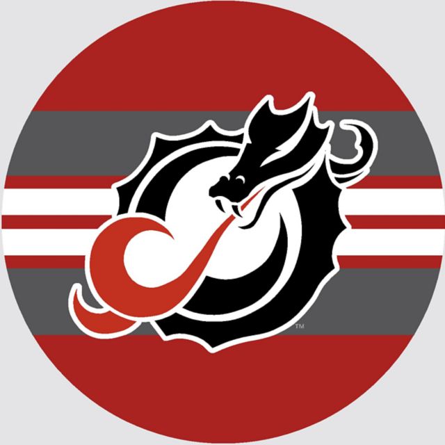 Minnesota State University Moorhead 3" Button Magnet