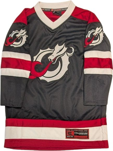 Minnesota State University Moorhead Youth Hockey Jersey