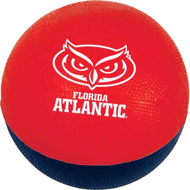 Large 6 Foam Basketball