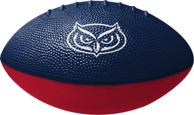 Florida Atlantic Owls 6" Foam Football
