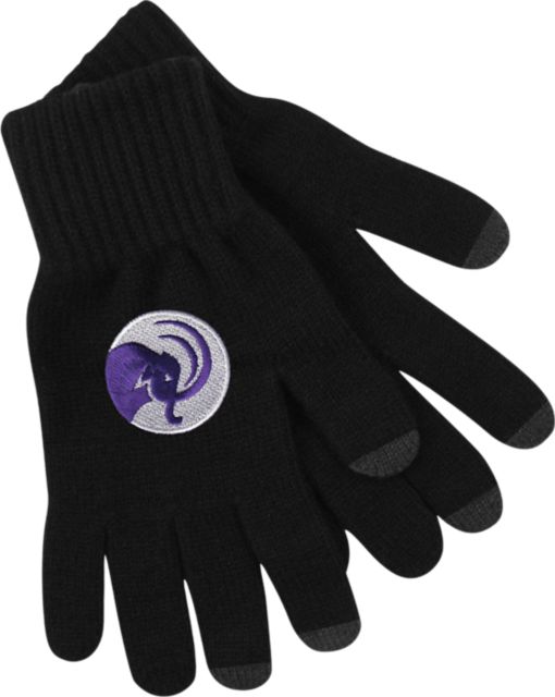 Amherst College Mammoths UText Gloves