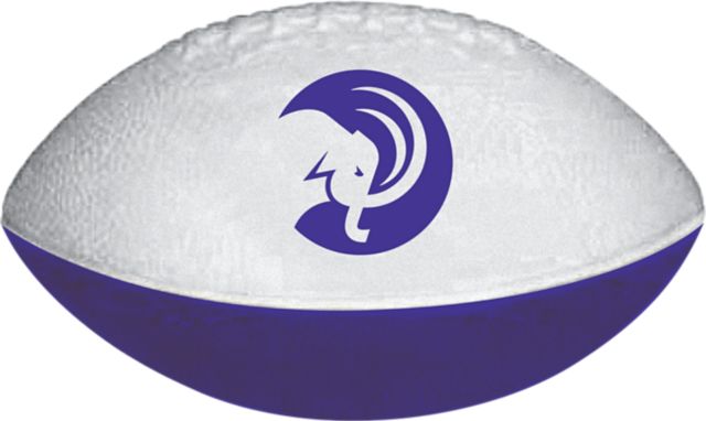 Amherst College Mini Mammoths Football