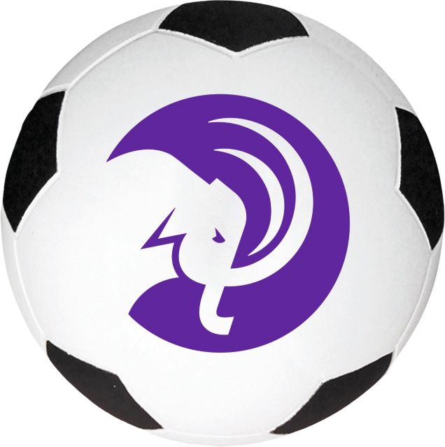 Amherst College Mammoths Foam Soccer Ball