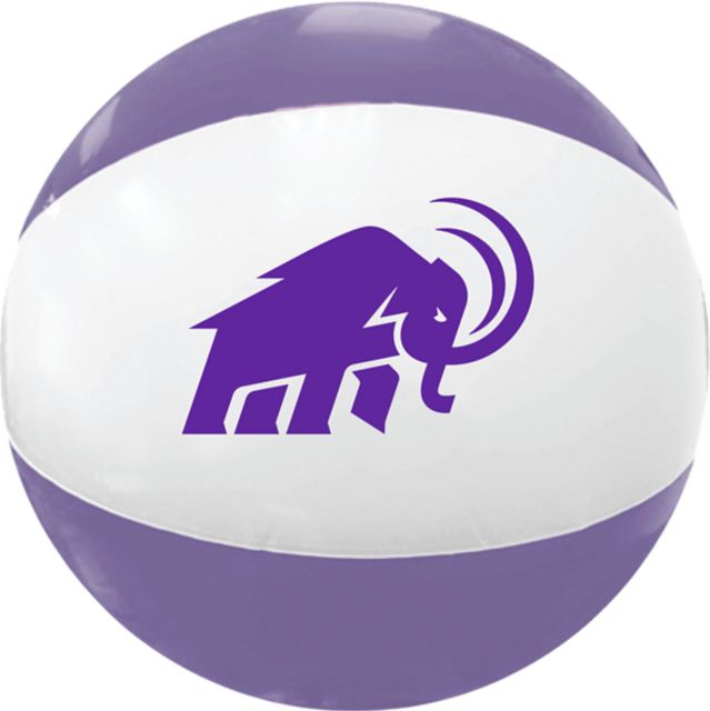 Amherst College 4" Ball & Basketball Hoop Set