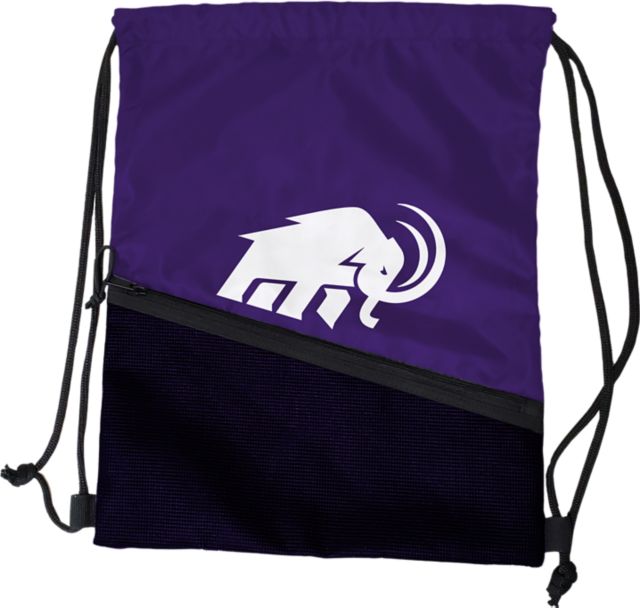 Amherst College Tilt Backsack