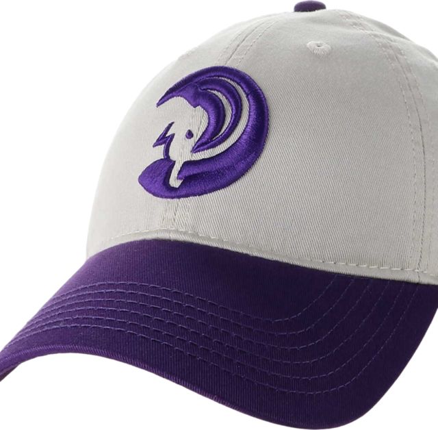Amherst College 2-Tone Relaxed Twill Adjustable Cap